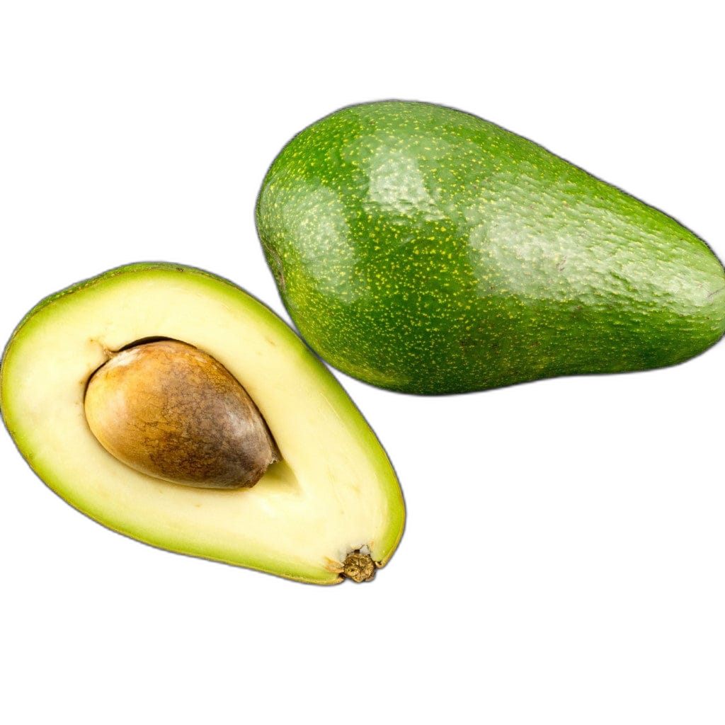 Fuerte Avocado